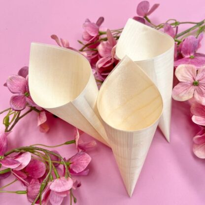 Bamboo Cone 10pc (13x18cm)