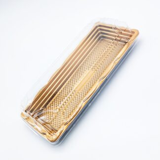 Rectangle Plastic Container with Lid (22x9cm)